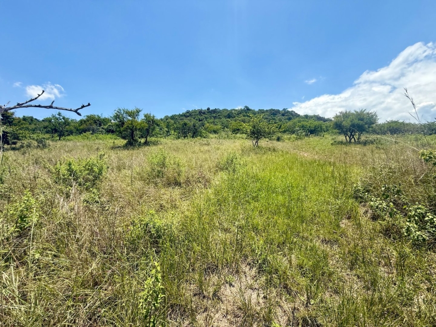 Commercial Property for Sale in Likweti Bushveld Farm Estate Mpumalanga