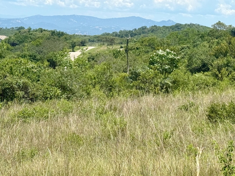 Commercial Property for Sale in Likweti Bushveld Farm Estate Mpumalanga