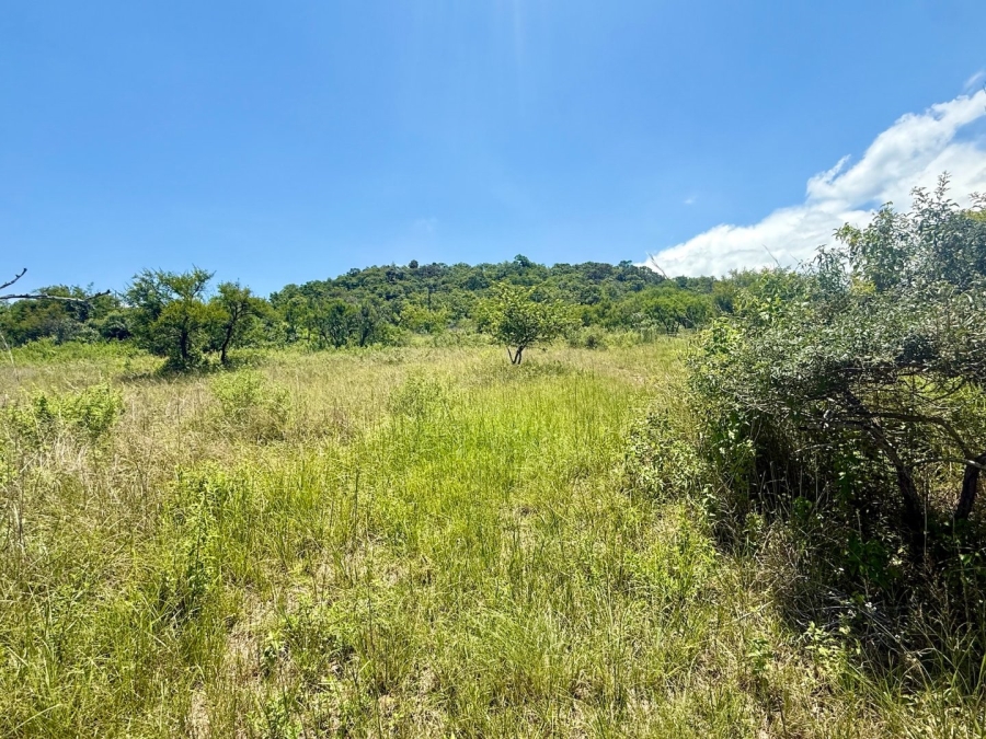 Commercial Property for Sale in Likweti Bushveld Farm Estate Mpumalanga