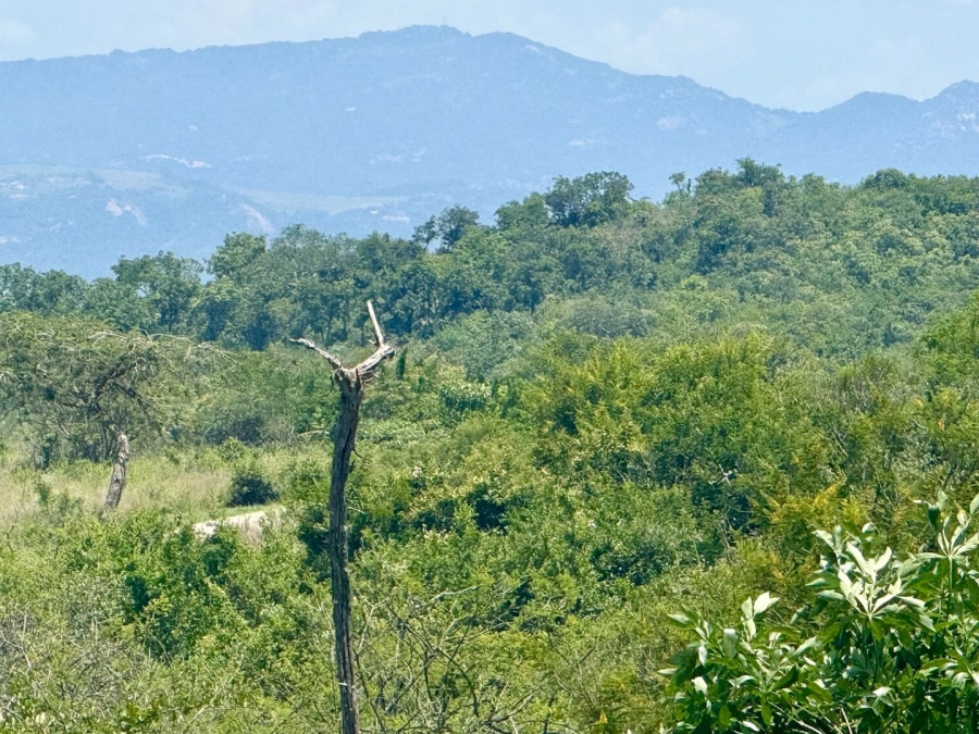 Commercial Property for Sale in Likweti Bushveld Farm Estate Mpumalanga