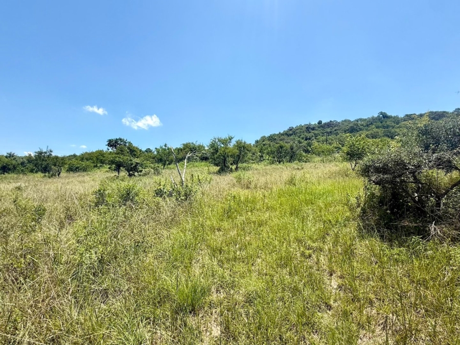 Commercial Property for Sale in Likweti Bushveld Farm Estate Mpumalanga