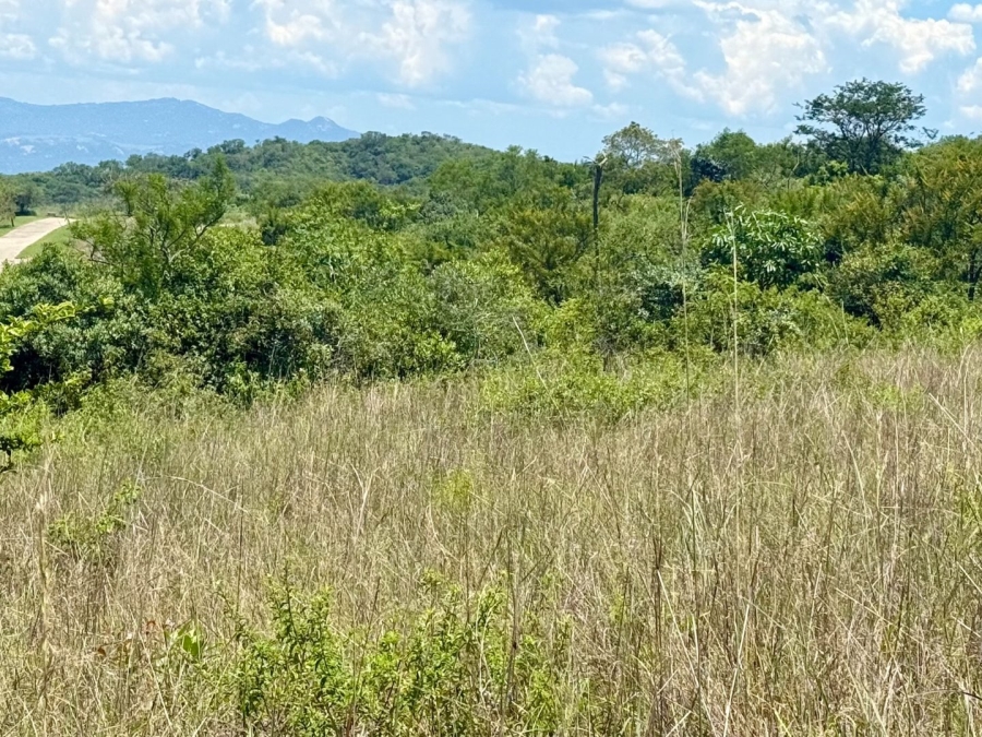 Commercial Property for Sale in Likweti Bushveld Farm Estate Mpumalanga