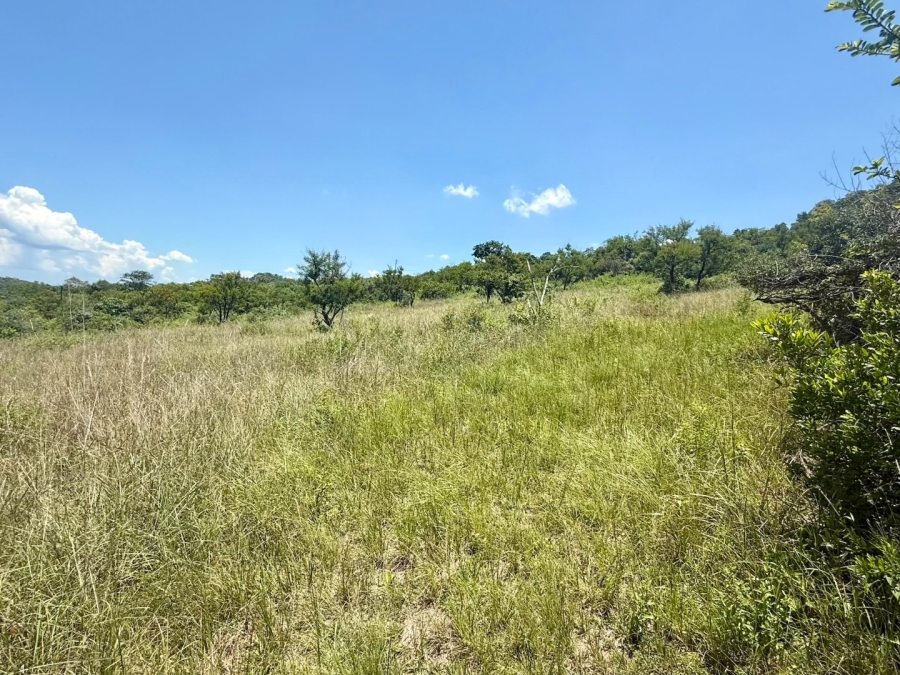 Commercial Property for Sale in Likweti Bushveld Farm Estate Mpumalanga