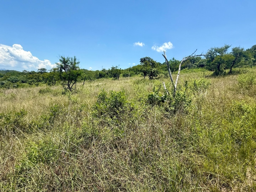 Commercial Property for Sale in Likweti Bushveld Farm Estate Mpumalanga