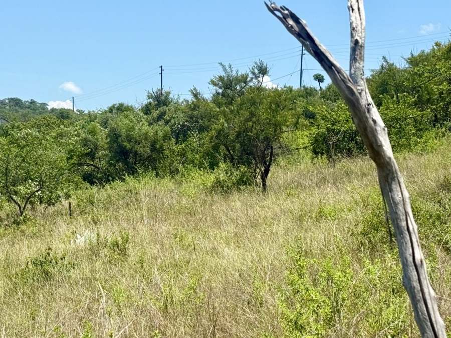 Commercial Property for Sale in Likweti Bushveld Farm Estate Mpumalanga