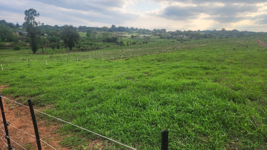  Bedroom Property for Sale in White River Rural Mpumalanga