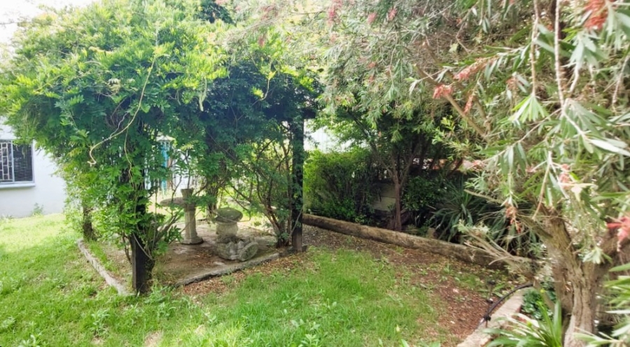 3 Bedroom Property for Sale in Bethal Mpumalanga