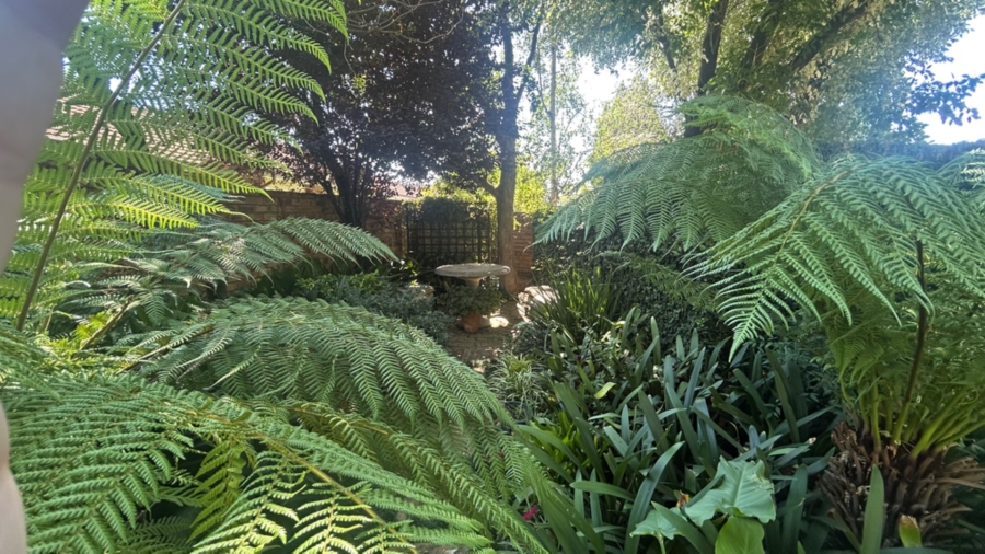 4 Bedroom Property for Sale in Middelburg South Mpumalanga