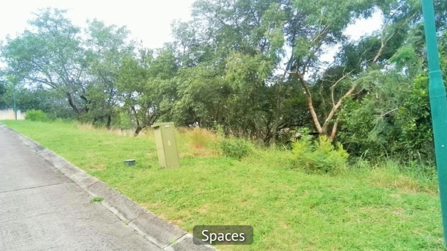 Commercial Property for Sale in Drum Rock Mpumalanga