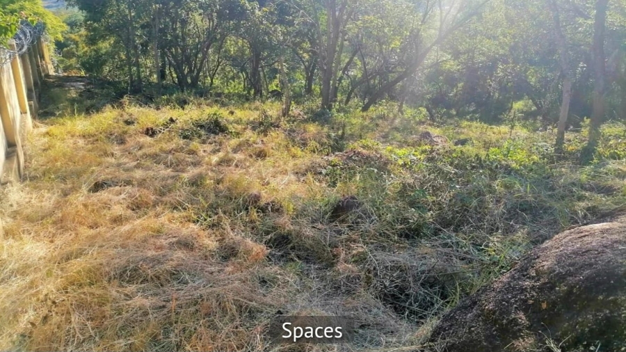 Commercial Property for Sale in Drum Rock Mpumalanga