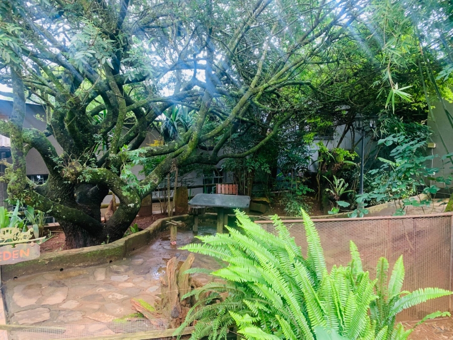 5 Bedroom Property for Sale in Graskop Mpumalanga