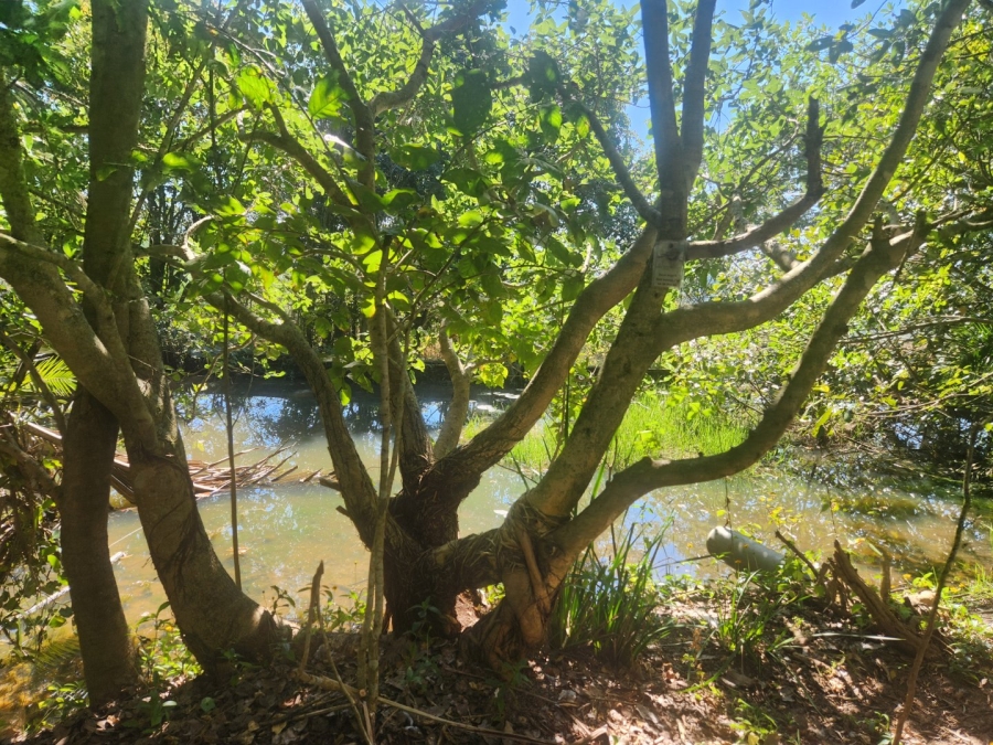 2 Bedroom Property for Sale in White River Rural Mpumalanga