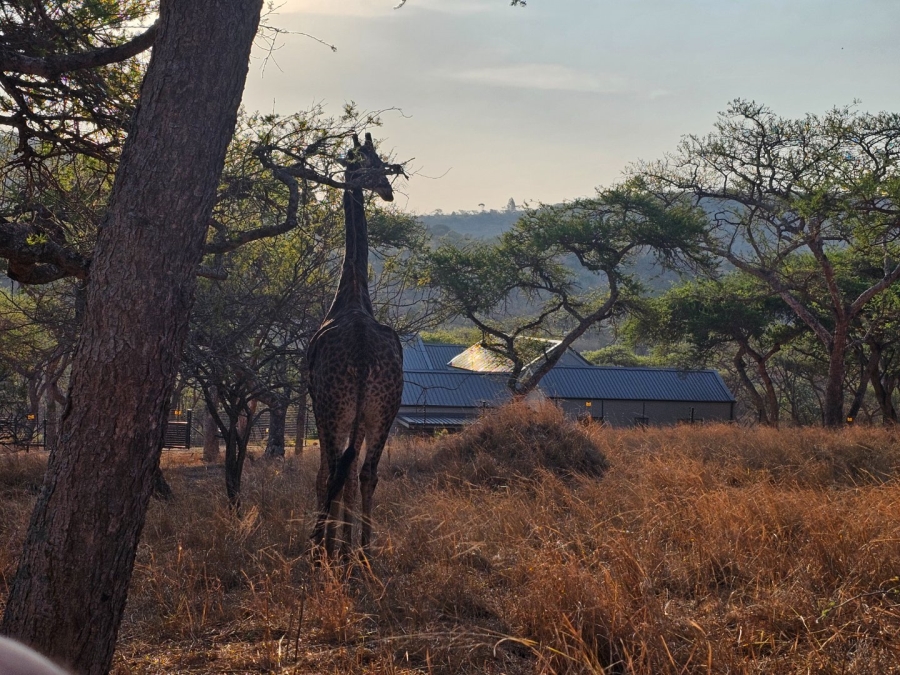 To Let 3 Bedroom Property for Rent in Wild Fig Country Estate Mpumalanga