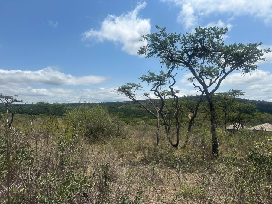 Bedroom Property for Sale in Likweti Bushveld Farm Estate Mpumalanga