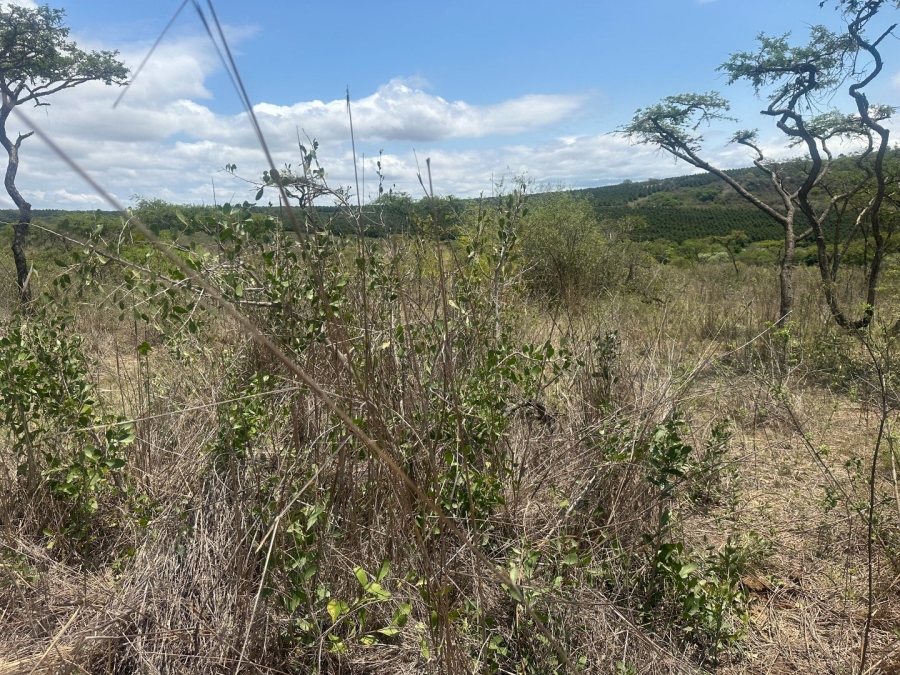  Bedroom Property for Sale in Likweti Bushveld Farm Estate Mpumalanga