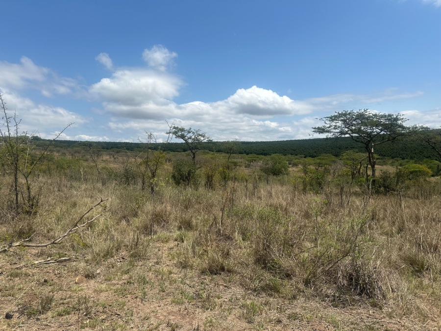  Bedroom Property for Sale in Likweti Bushveld Farm Estate Mpumalanga