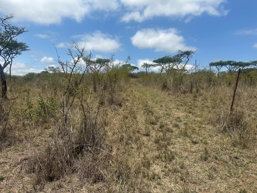  Bedroom Property for Sale in Likweti Bushveld Farm Estate Mpumalanga