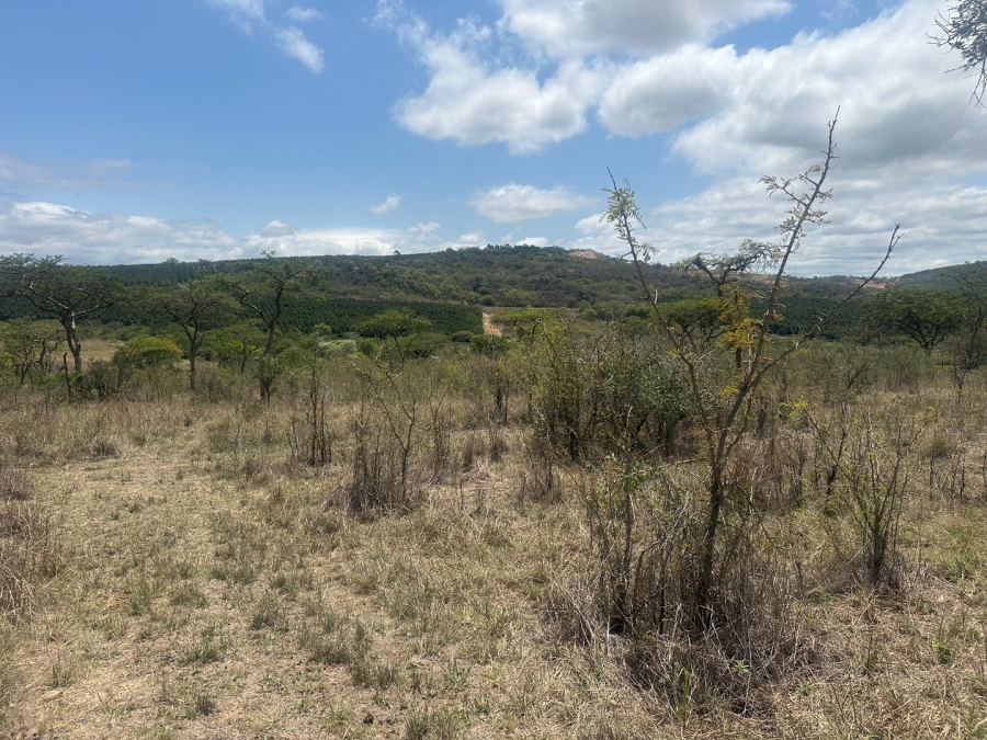  Bedroom Property for Sale in Likweti Bushveld Farm Estate Mpumalanga