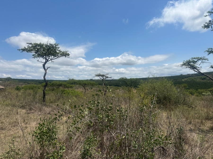  Bedroom Property for Sale in Likweti Bushveld Farm Estate Mpumalanga