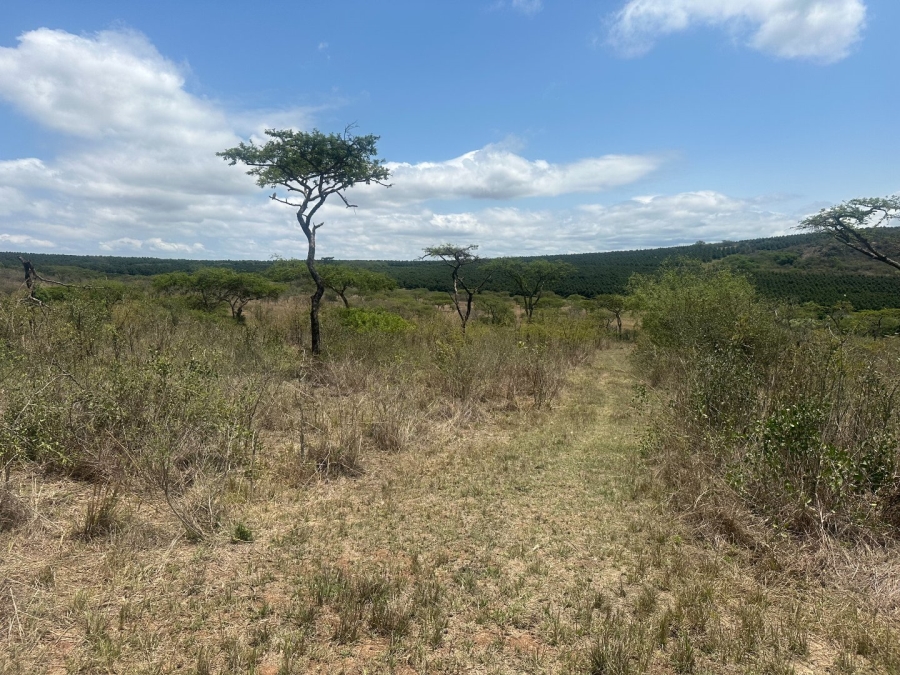  Bedroom Property for Sale in Likweti Bushveld Farm Estate Mpumalanga