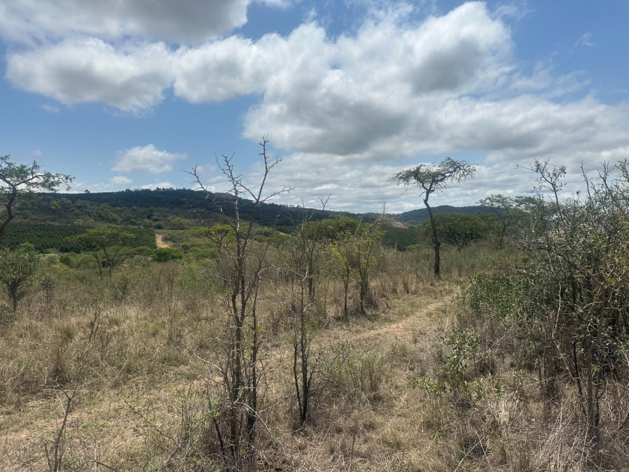  Bedroom Property for Sale in Likweti Bushveld Farm Estate Mpumalanga