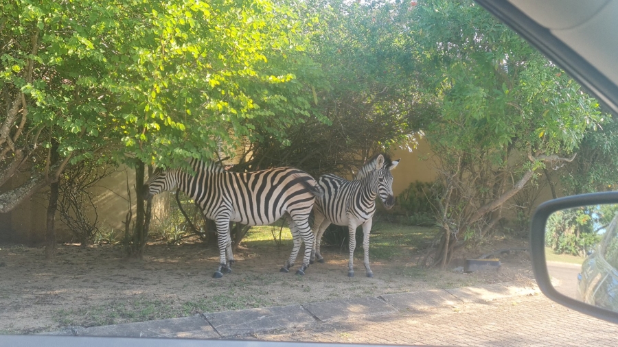  Bedroom Property for Sale in Wild Fig Country Estate Mpumalanga