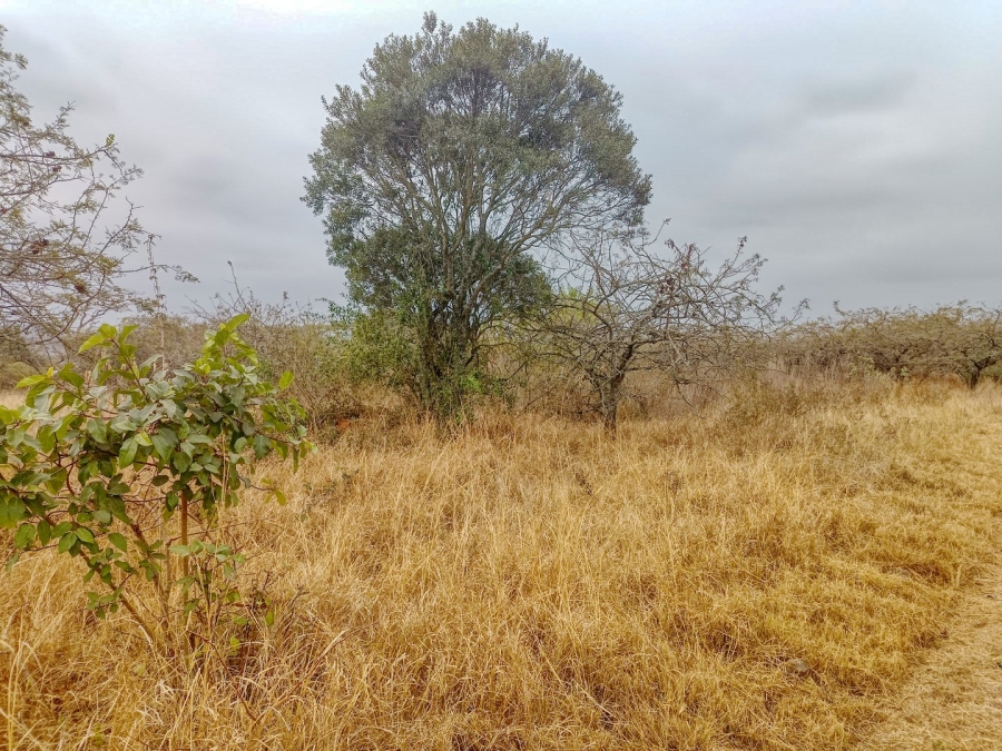  Bedroom Property for Sale in Bundu Wildlife Estate Mpumalanga