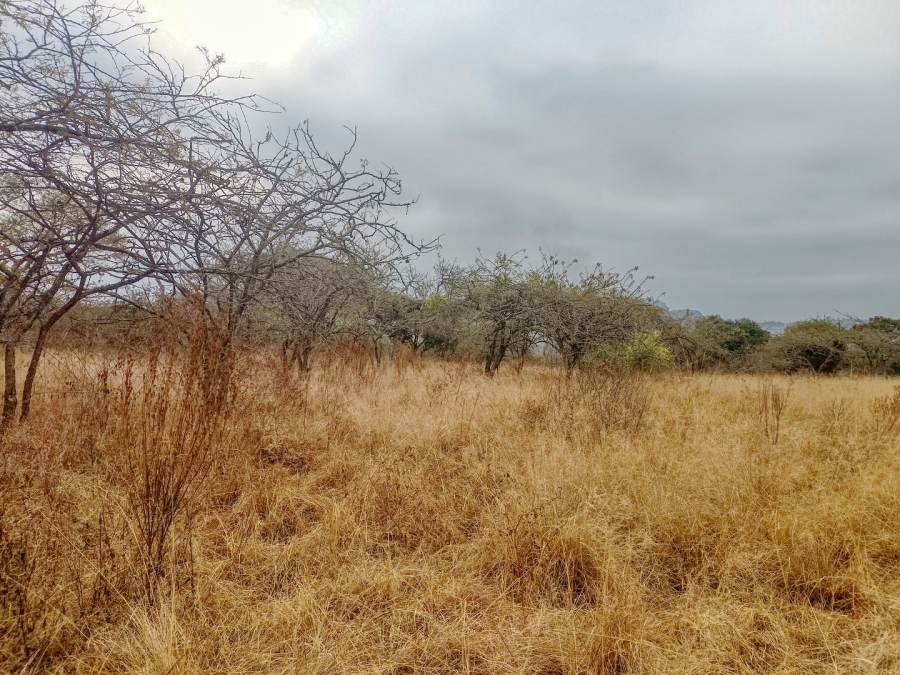  Bedroom Property for Sale in Bundu Wildlife Estate Mpumalanga