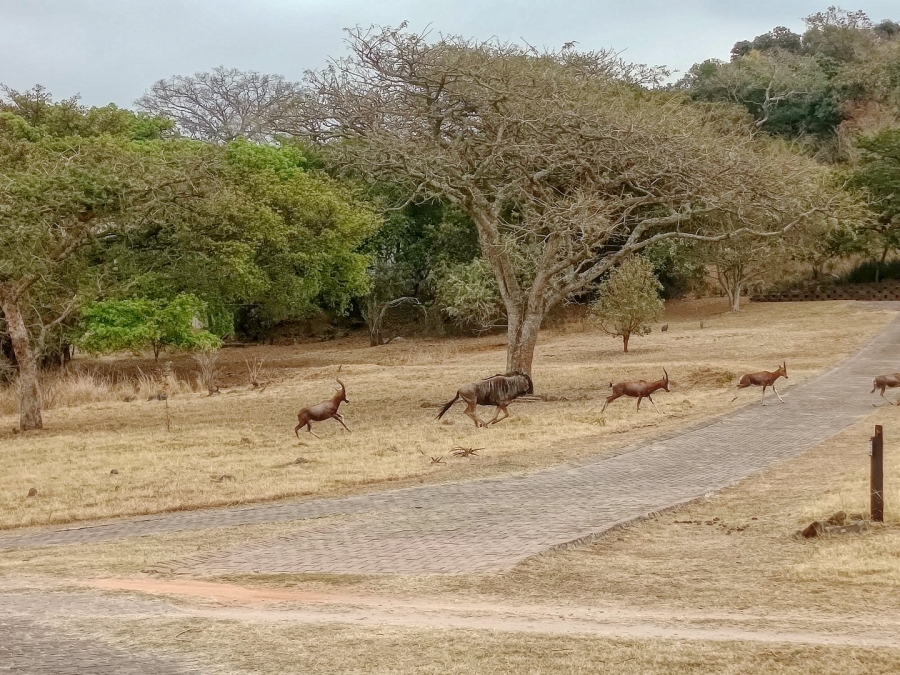  Bedroom Property for Sale in Bundu Wildlife Estate Mpumalanga