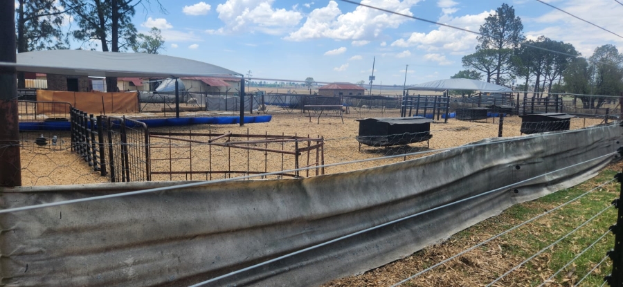  Bedroom Property for Sale in Standerton Rural Mpumalanga