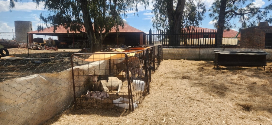  Bedroom Property for Sale in Standerton Rural Mpumalanga