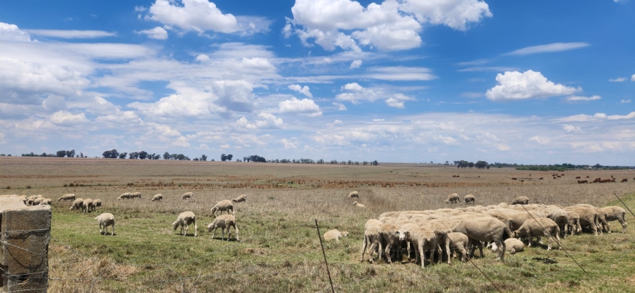  Bedroom Property for Sale in Standerton Rural Mpumalanga