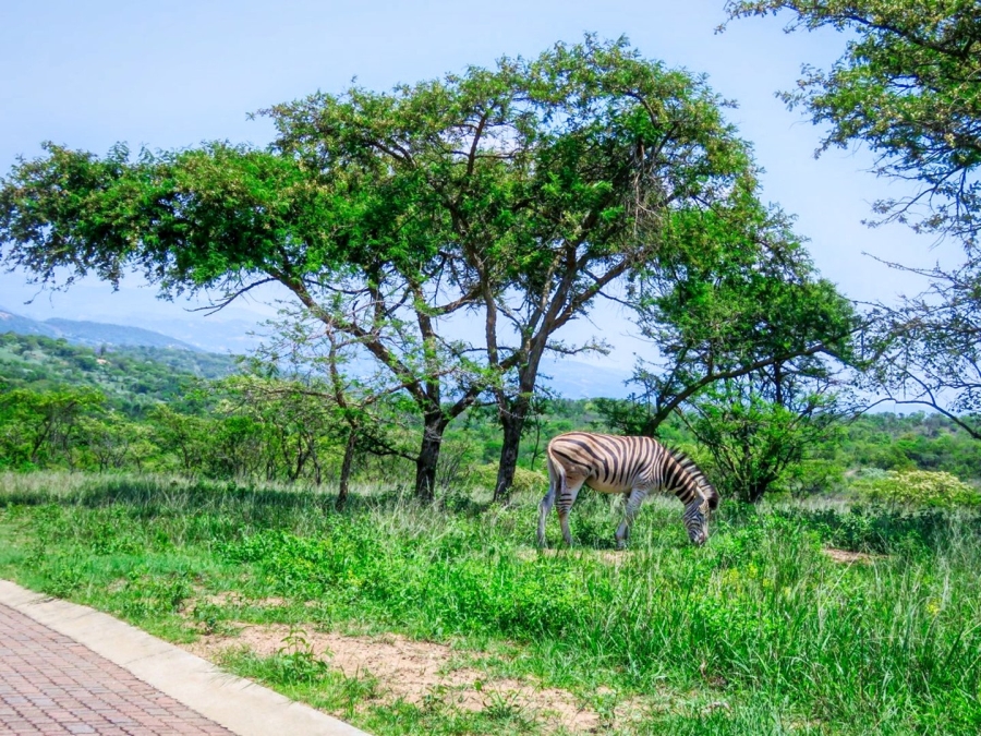  Bedroom Property for Sale in Wild Fig Country Estate Mpumalanga