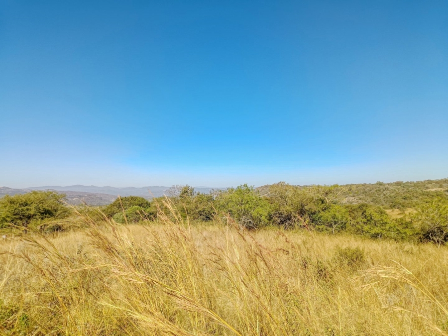  Bedroom Property for Sale in Wild Fig Country Estate Mpumalanga