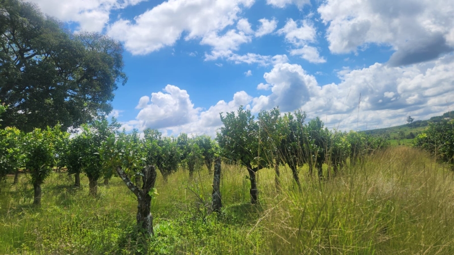  Bedroom Property for Sale in White River Rural Mpumalanga