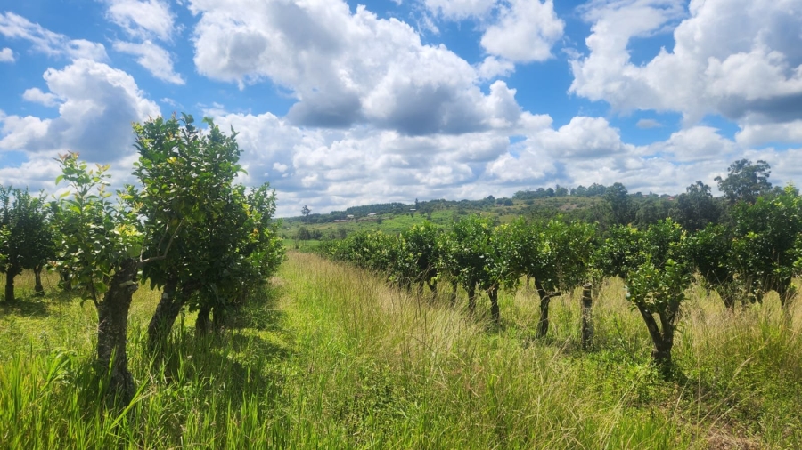  Bedroom Property for Sale in White River Rural Mpumalanga