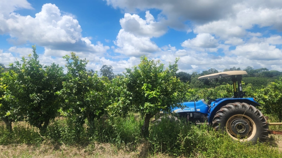  Bedroom Property for Sale in White River Rural Mpumalanga