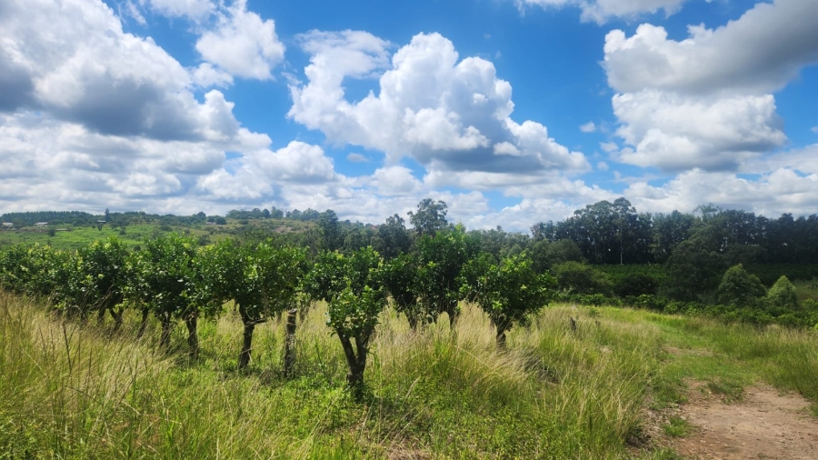  Bedroom Property for Sale in White River Rural Mpumalanga