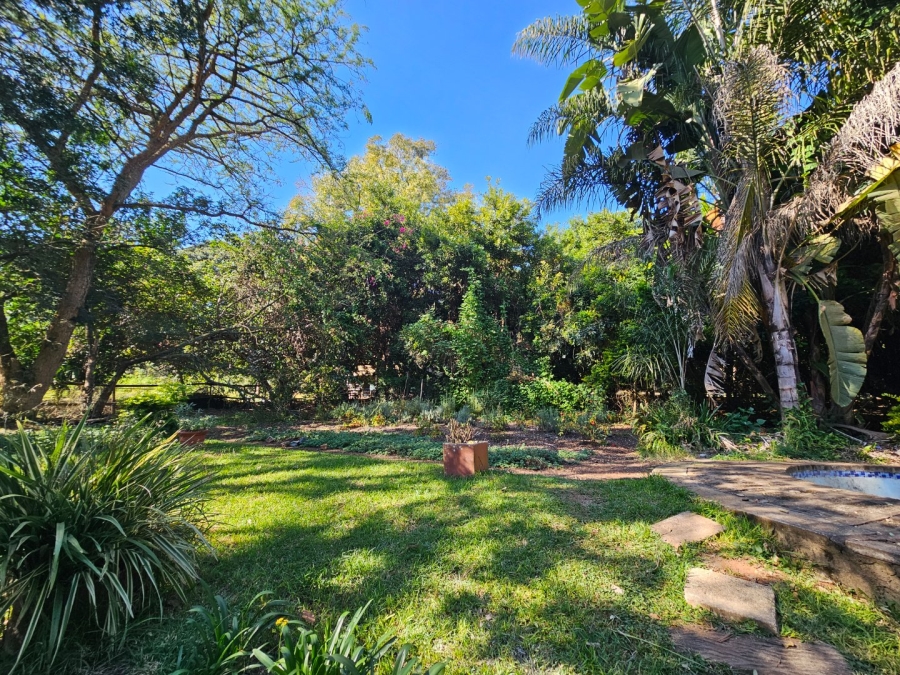 To Let commercial Property for Rent in White River Rural Mpumalanga