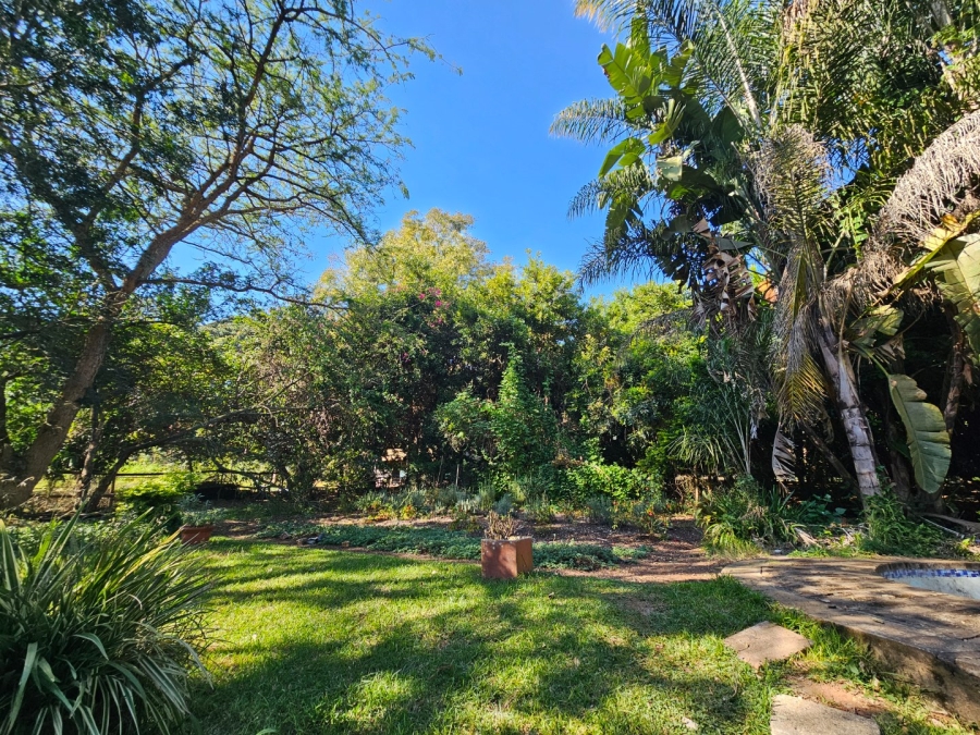 To Let commercial Property for Rent in White River Rural Mpumalanga