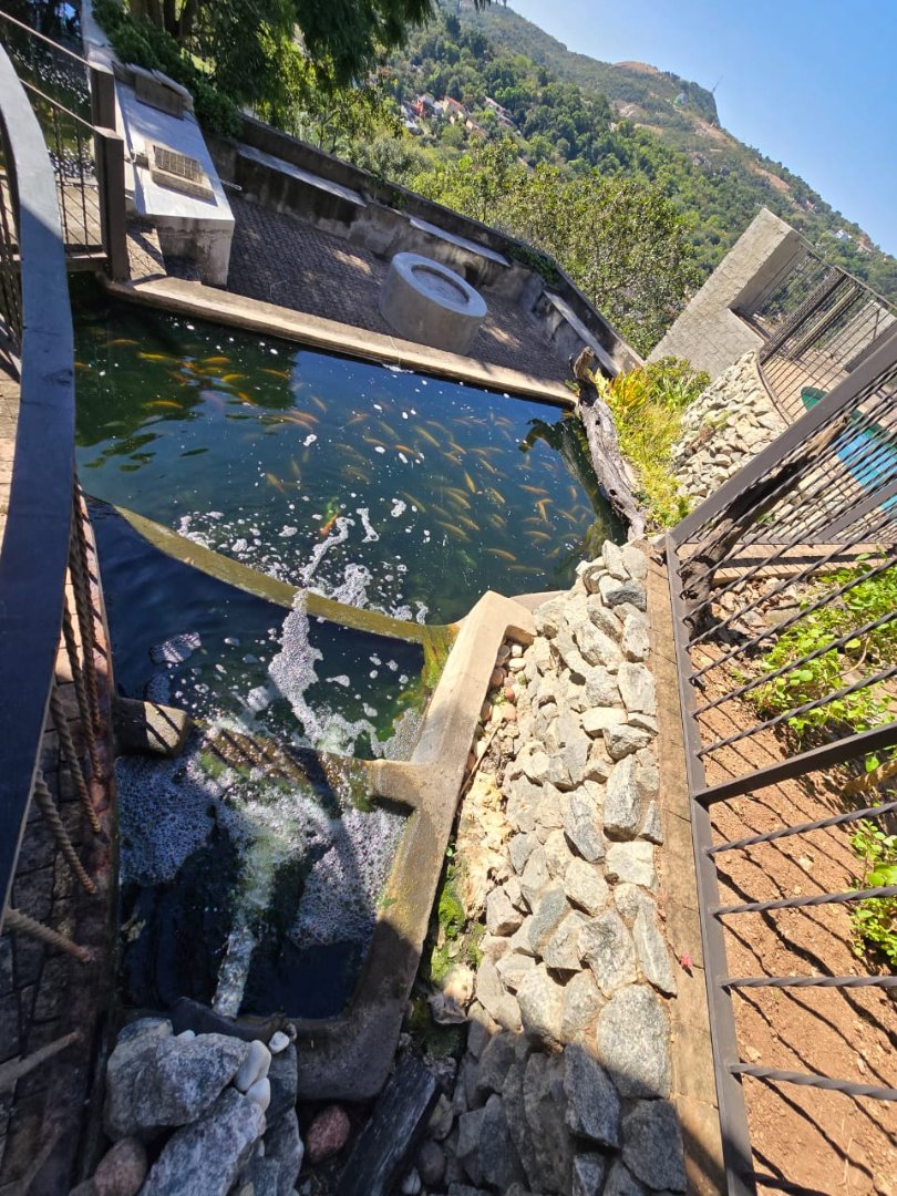4 Bedroom Property for Sale in Noordsig Landgoed Estate Mpumalanga