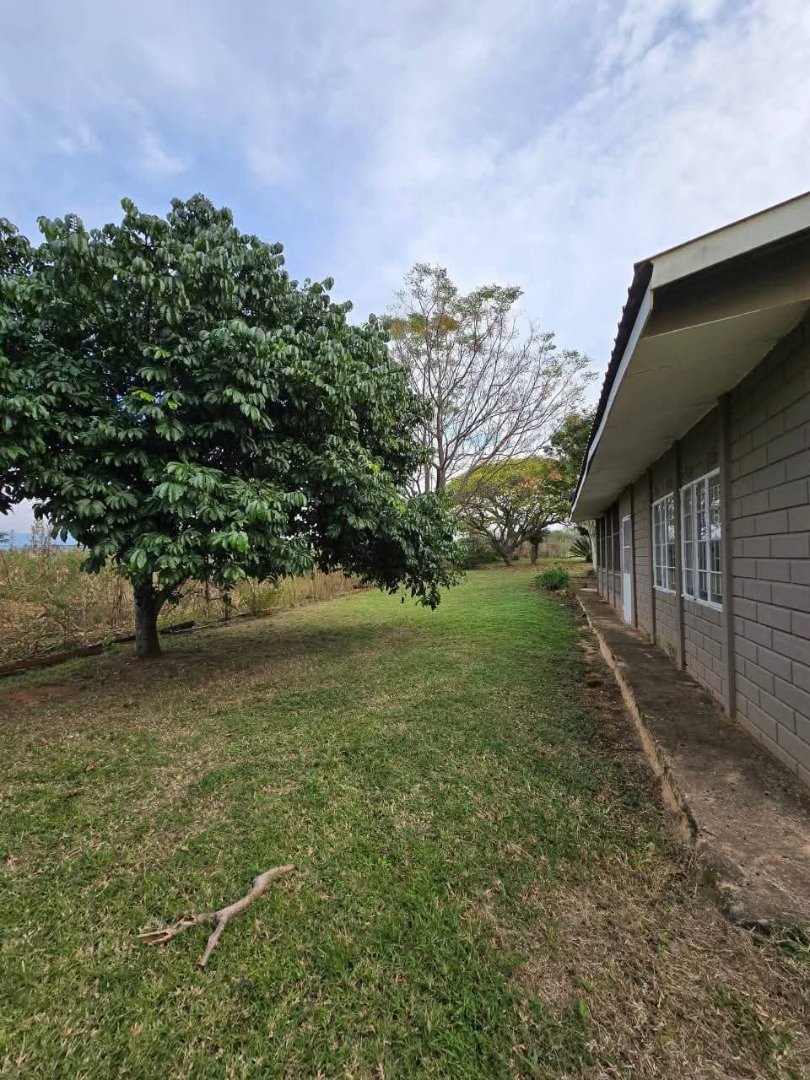 Commercial Property for Sale in Barberton Rural Mpumalanga
