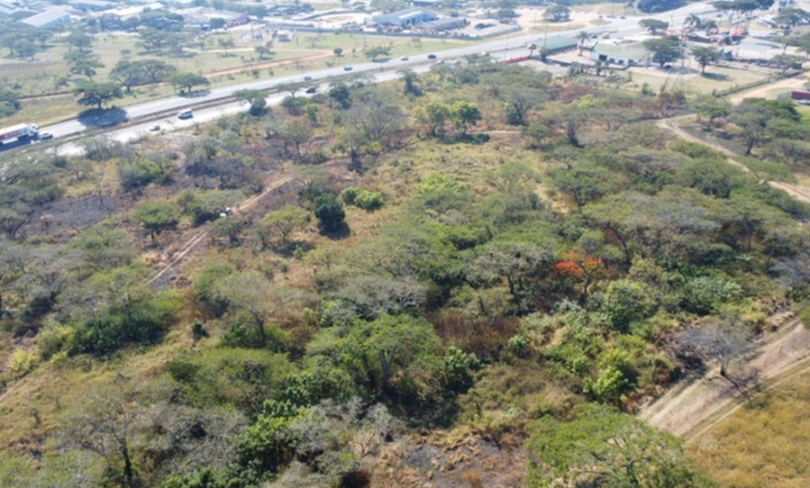  Bedroom Property for Sale in Rocky Drift Mpumalanga
