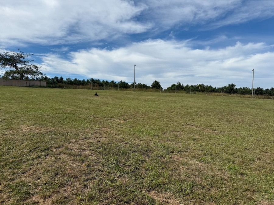 Commercial Property for Sale in Sonyaka Estate Mpumalanga
