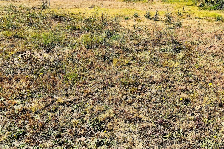  Bedroom Property for Sale in Hoeveld Park Mpumalanga