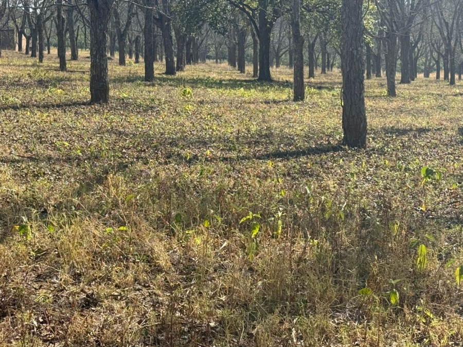  Bedroom Property for Sale in White River AH Mpumalanga