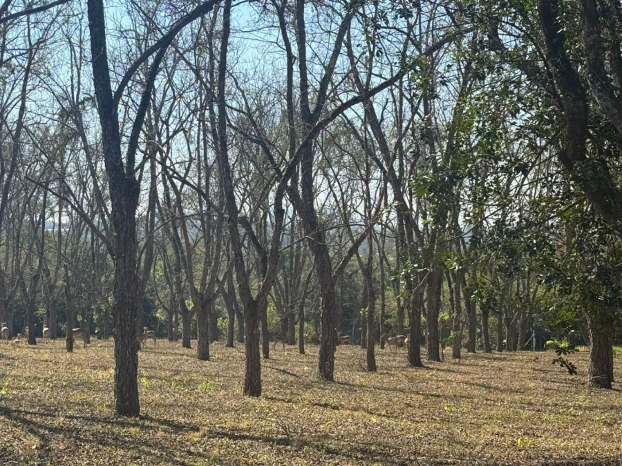  Bedroom Property for Sale in White River AH Mpumalanga
