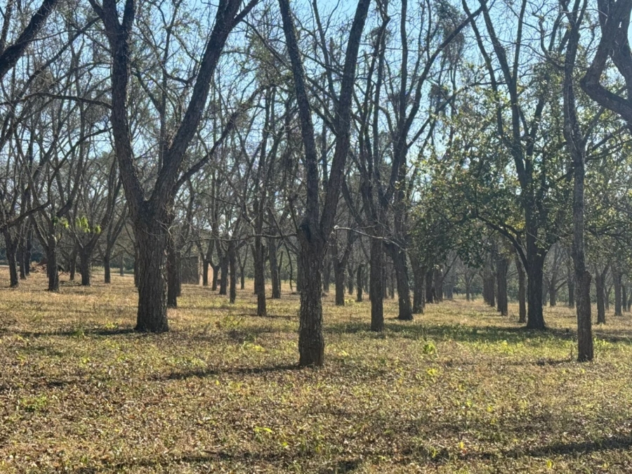  Bedroom Property for Sale in White River AH Mpumalanga
