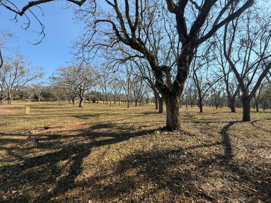  Bedroom Property for Sale in White River AH Mpumalanga
