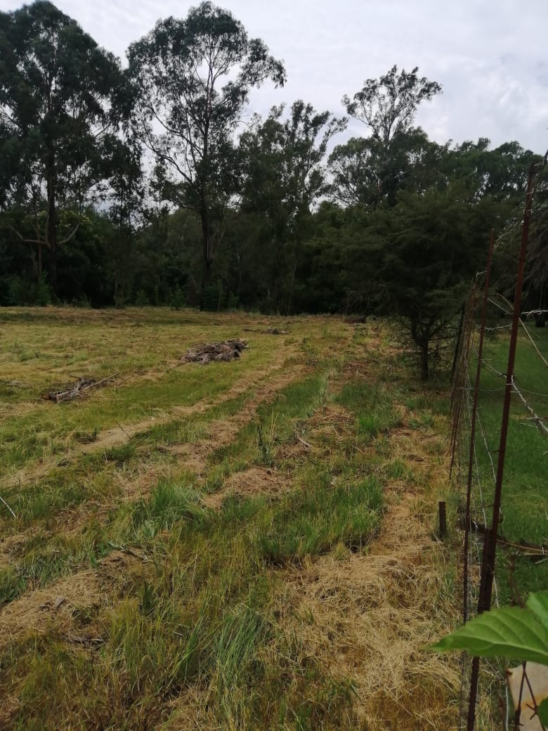  Bedroom Property for Sale in Lydenburg Mpumalanga